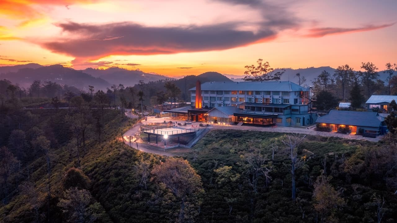 Newburgh Ella - The Tea Factory Resort